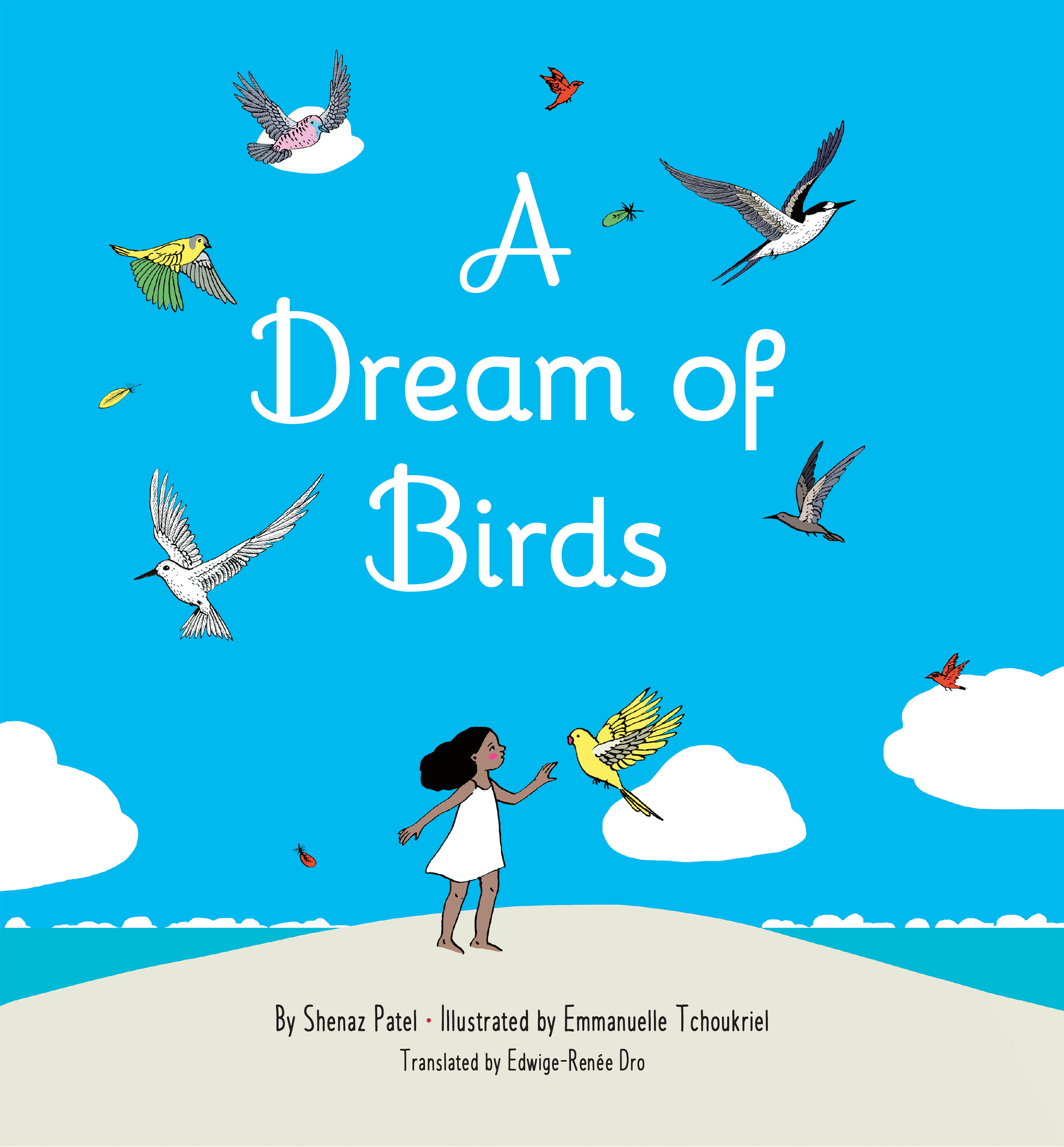 A Dream of Birds (Hardcover)