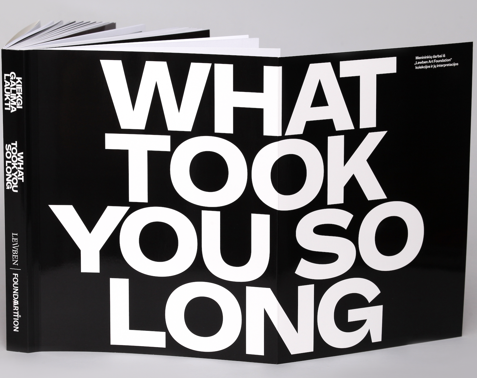 Kiek gi galima laukti / What took you so long,