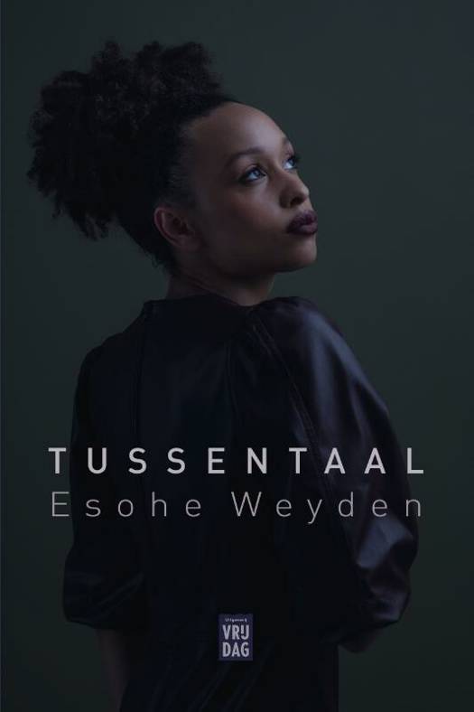 Tussentaal (Paperback)