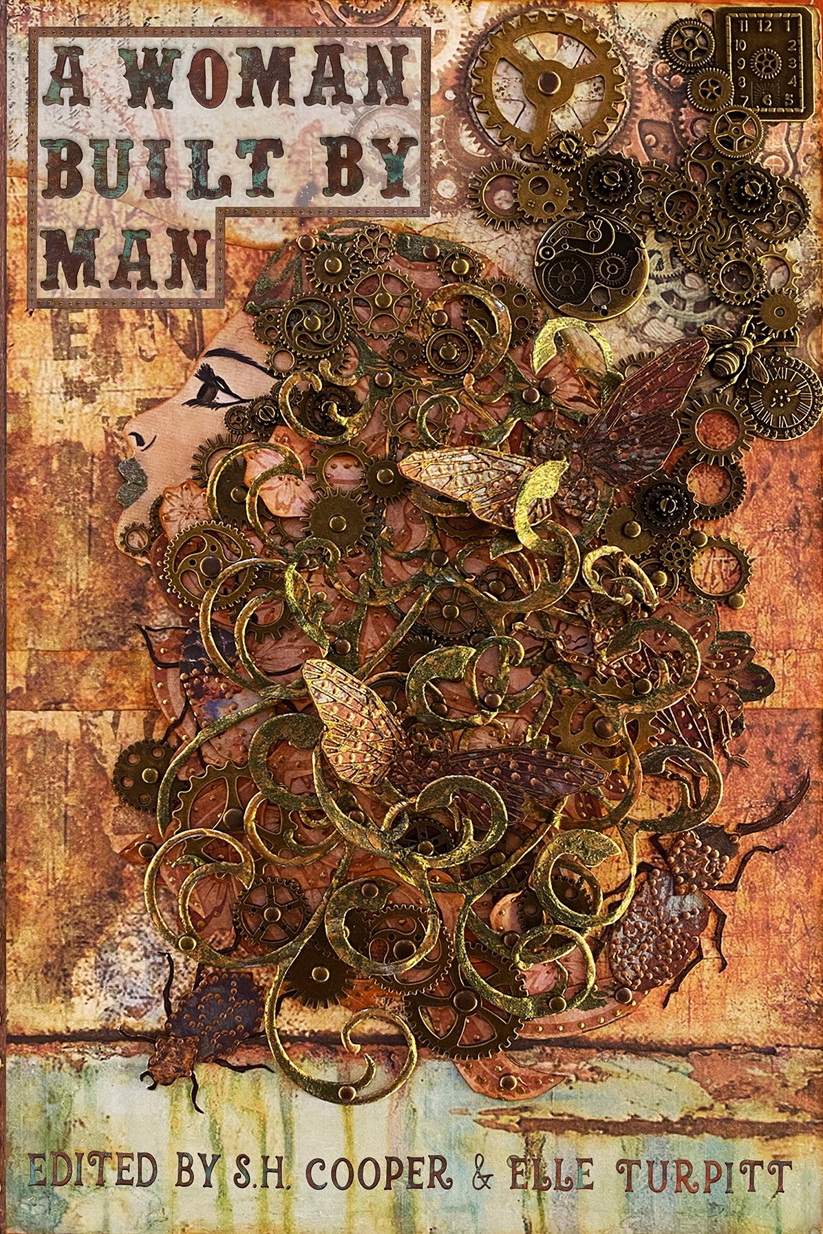 A Woman Built by Man (Kindle Edition)