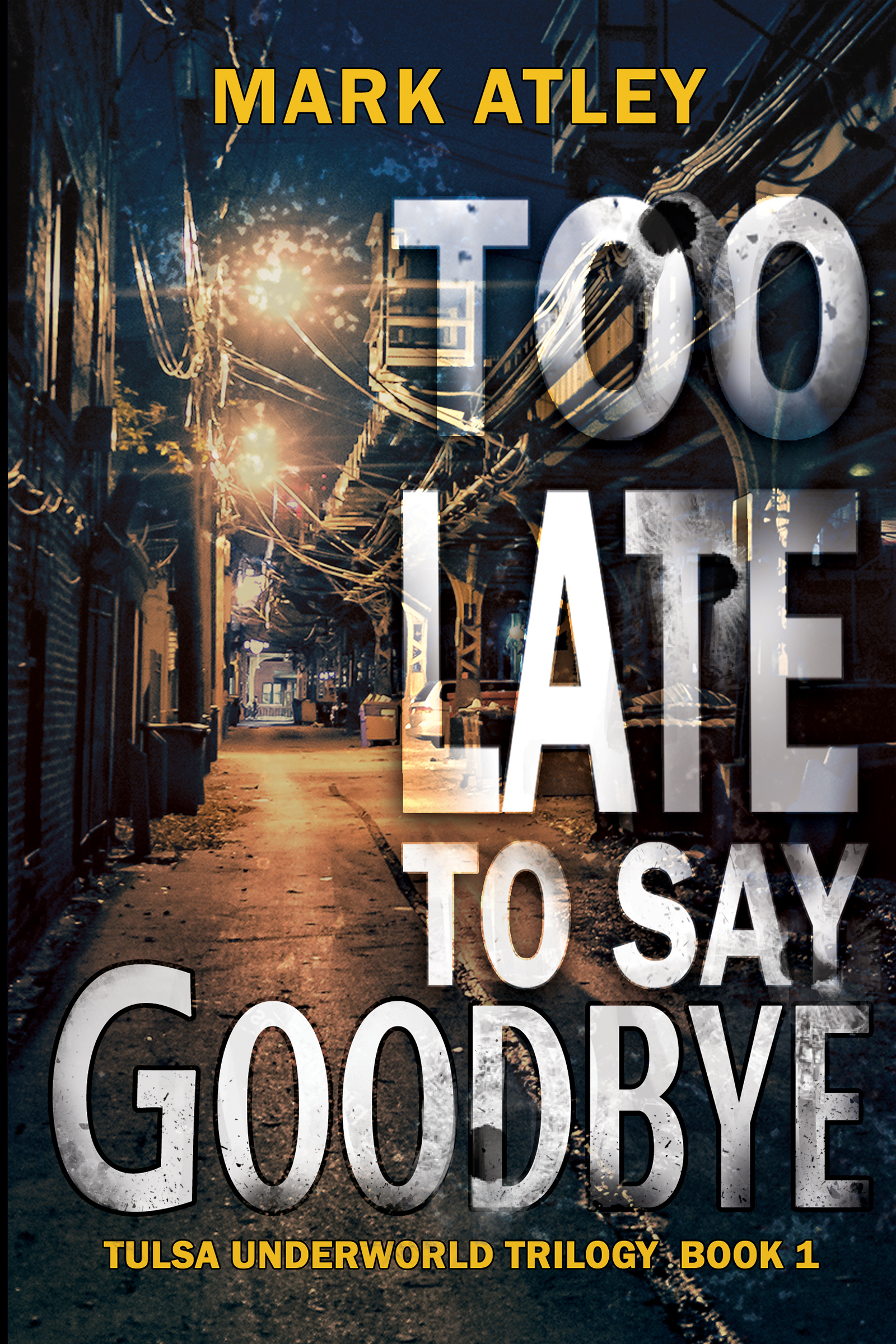 Too Late to Say Goodbye (Kindle Edition)