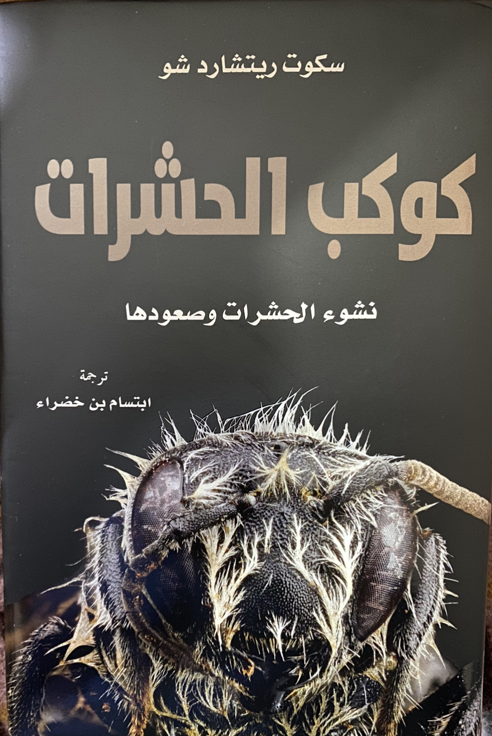 كوكب الحشرات : نشوء الحشرات و صعودها