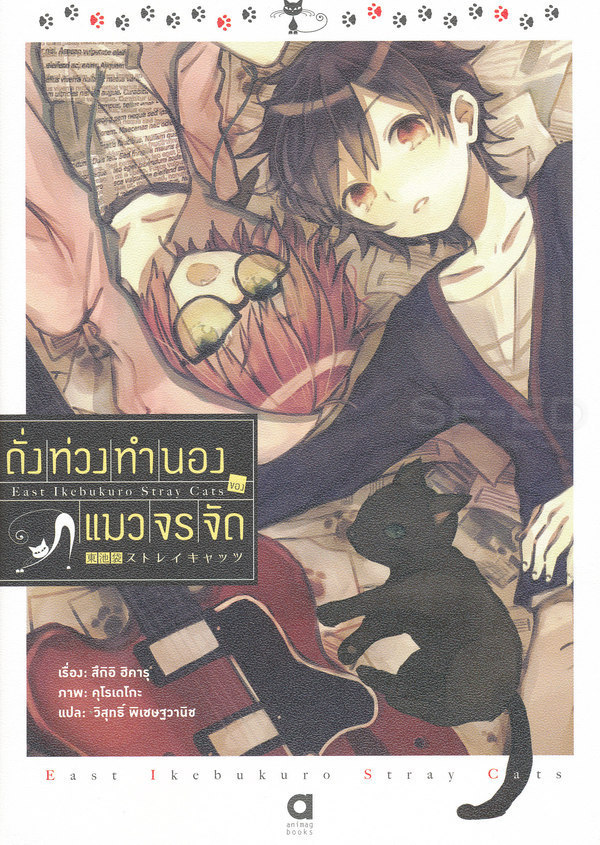 ดั่งท่วงทำนองของแมวจรจัด