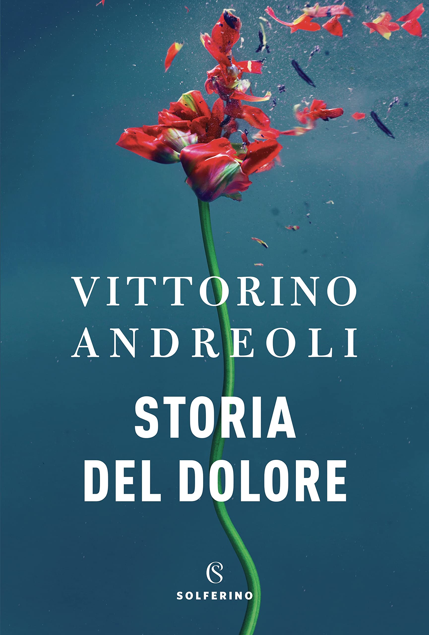 Storia del dolore (Paperback)
