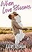 When Love Blooms: A Contemp...