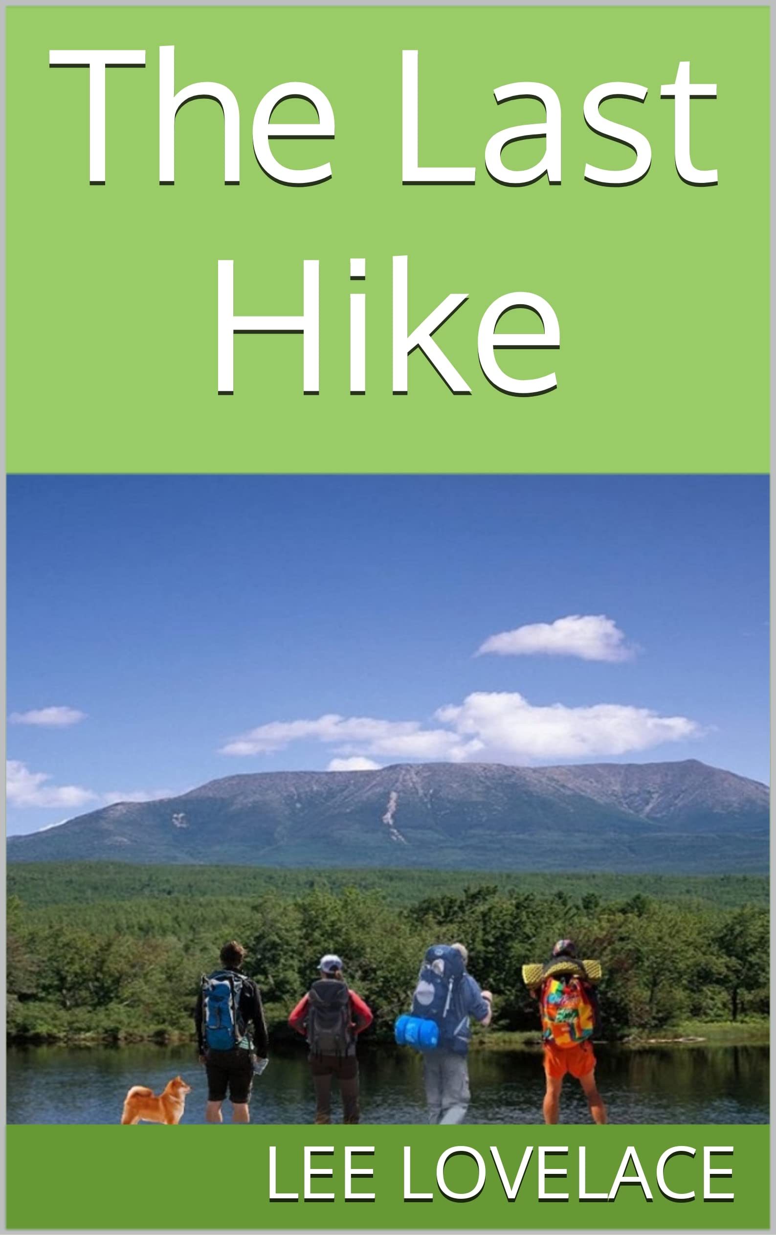 The Last Hike (Kindle Edition)