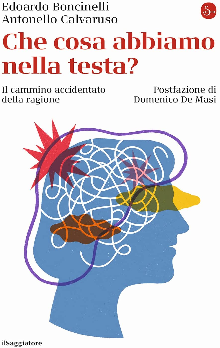 Che cosa abbiamo nella testa?