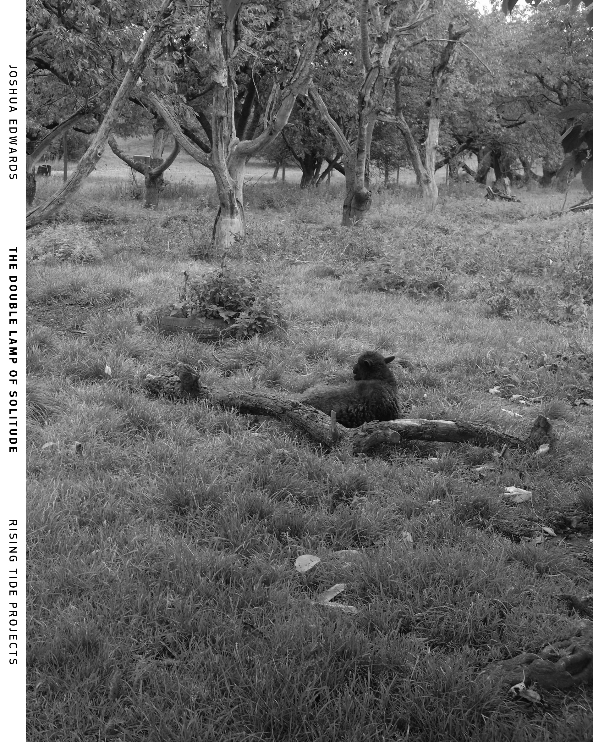 The Double Lamp of Solitude (Paperback)