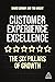 Customer Experience Excelle...