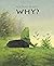 WHY?: A Timeless Story Told Without Words