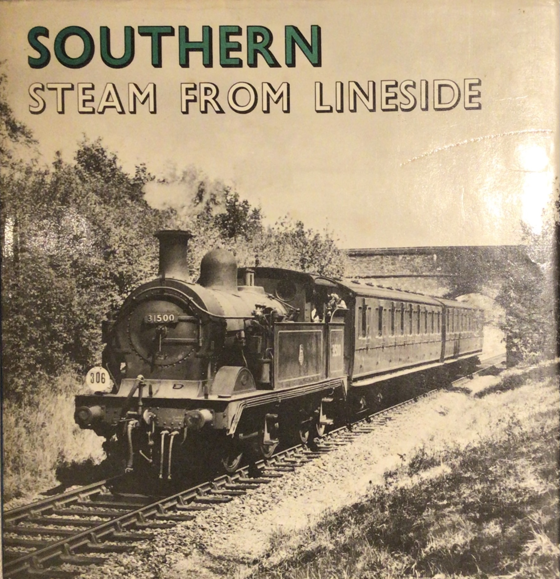 Southern Steam from Lineside
