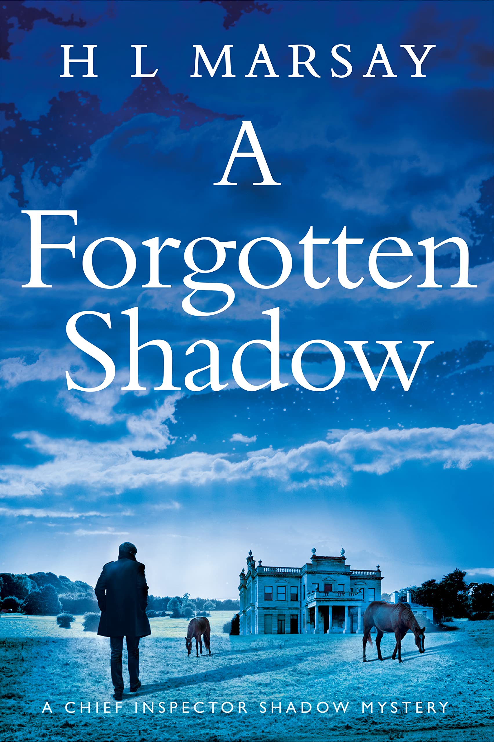 A Forgotten Shadow (Chief Inspector Shadow Mystery, #5)