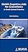 BSAVA Cognitive Aids for Anaesthesia in Small Animal Practice (BSAVA British Small Animal Veterinary Association)