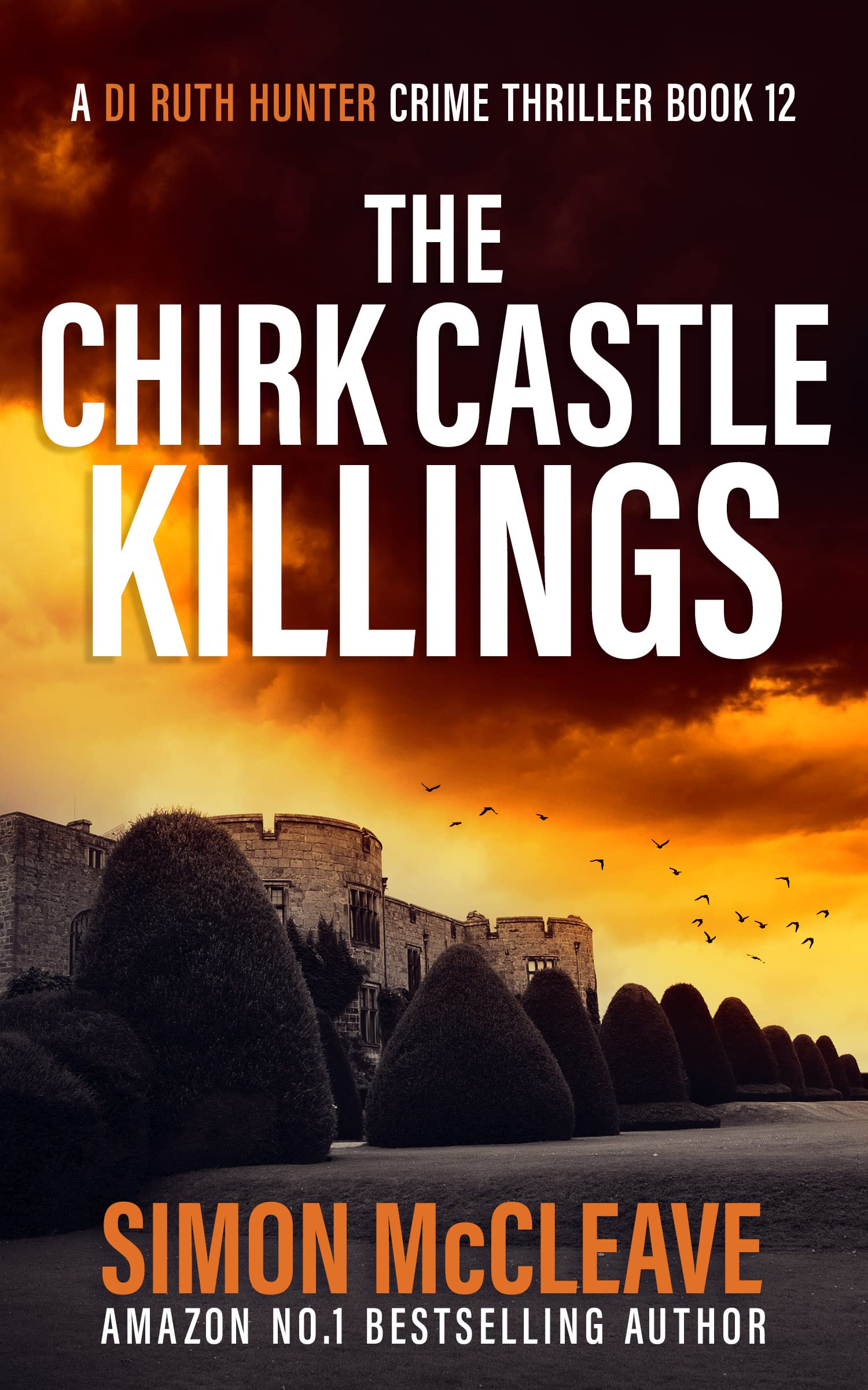 The Chirk Castle Killings (DI Ruth Hunter #12)