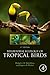 Behavioral Ecology of Tropical Birds by Bridget J M Stutchbury