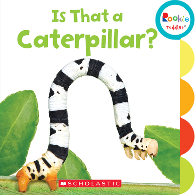 Is That a Caterpillar? (Board book)
