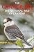 The Canada Jay: The Nationa...