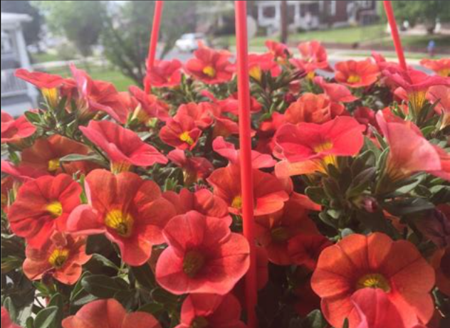 .Erratas: The Mysterious Word You Shouldn't Search For