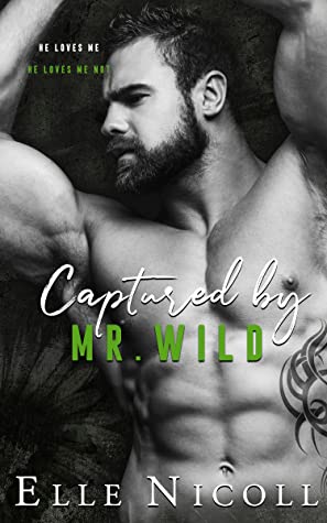 Captured by Mr. Wild (The Men, #4)