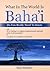 What In The World Is Baha'i...