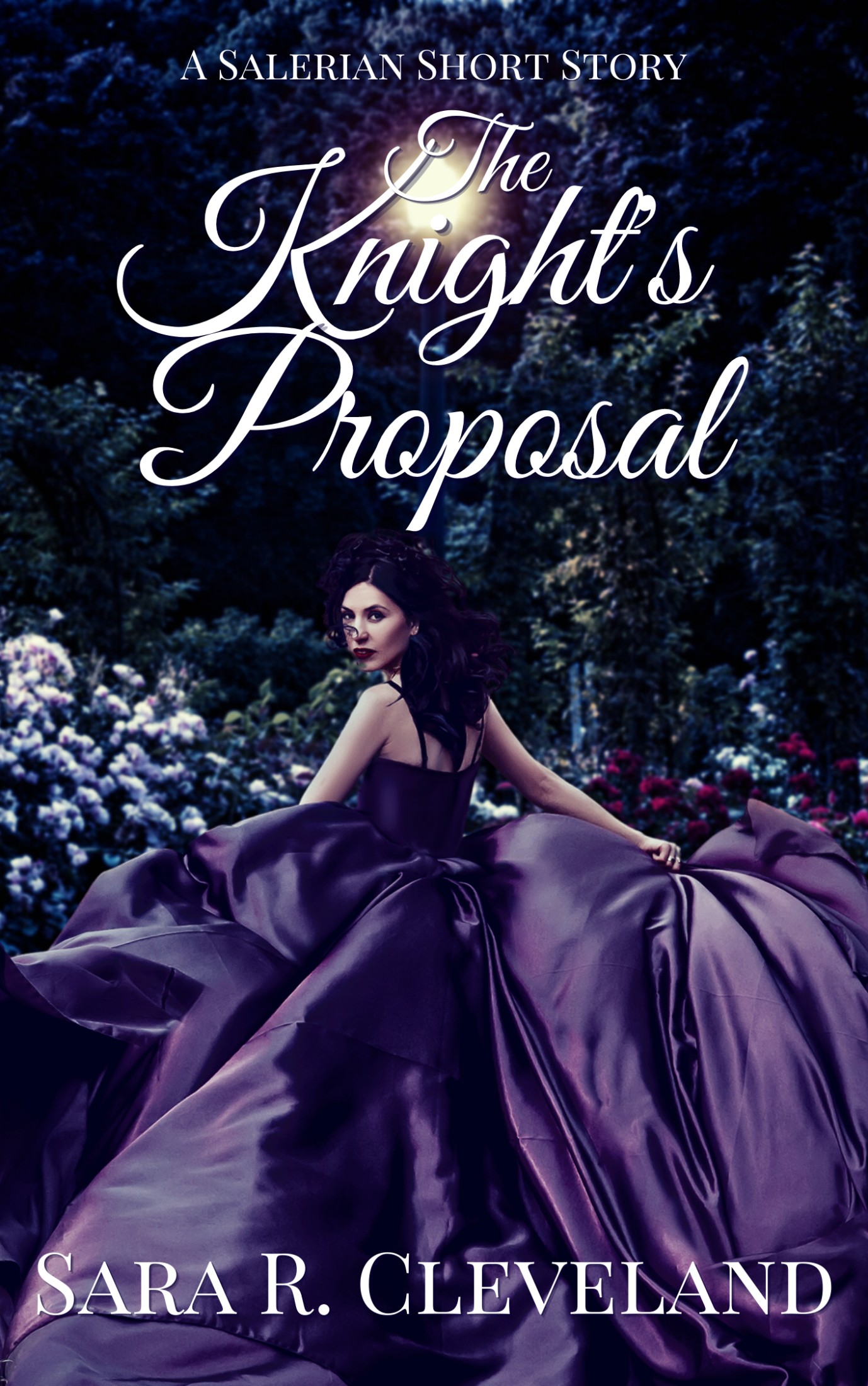 The Knight's Proposal: A Salerian Short