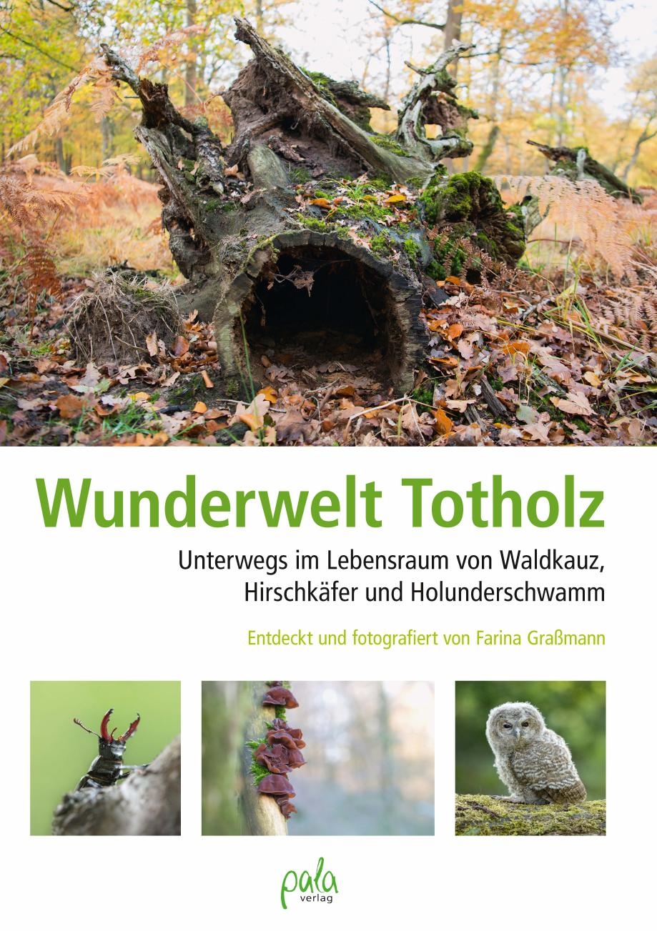 Wunderwelt Totholz