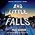 Bad Little Falls (Mike Bowditch, #3)