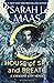 House of Sky and Breath by Sarah J. Maas