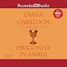 Dragonfly in Amber