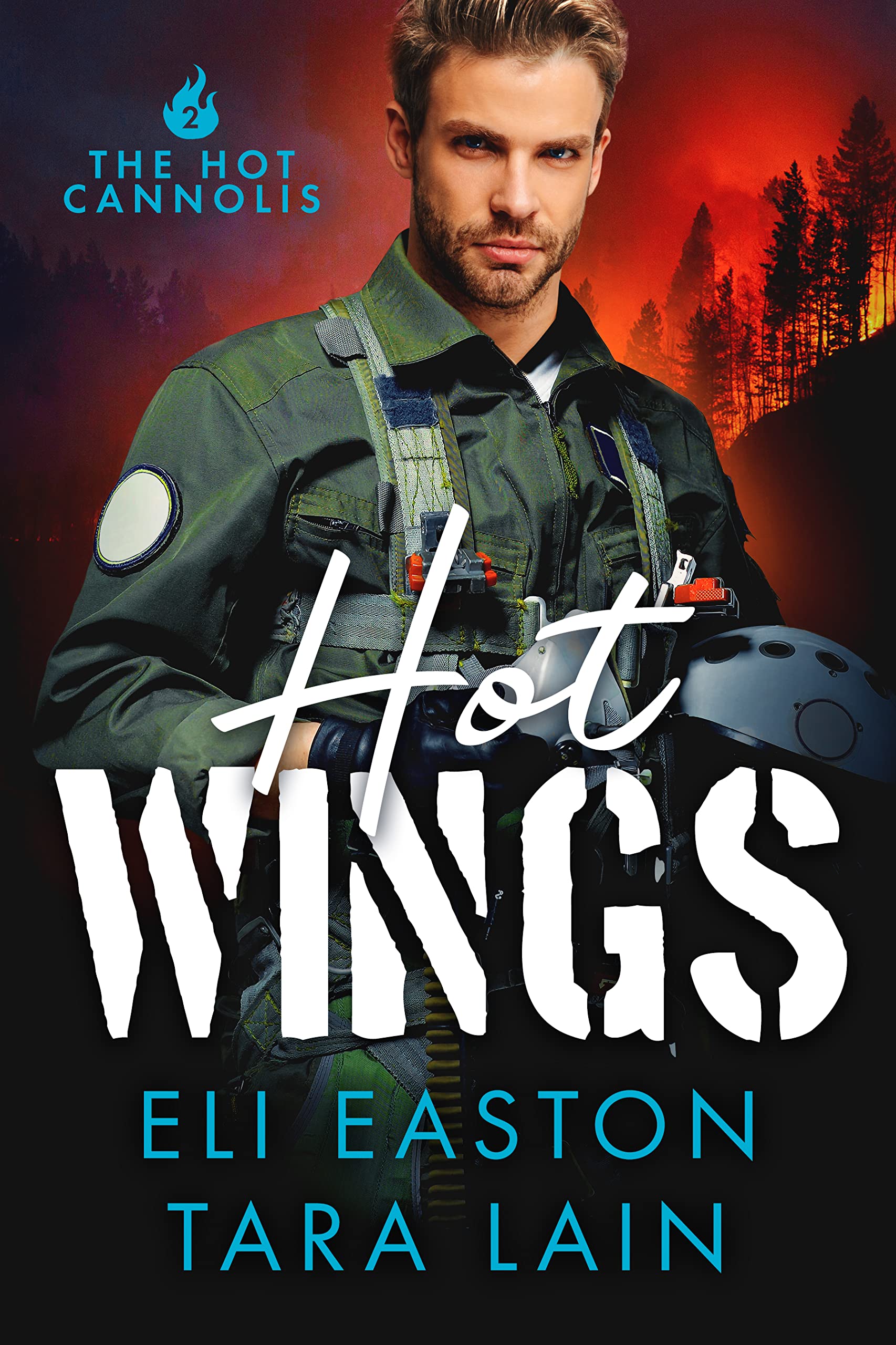 Hot Wings (The Hot Cannolis #2)