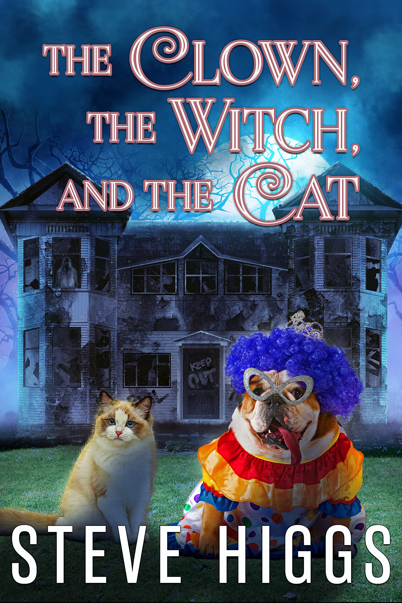 The Clown, the Witch, and the Cat: Pets Investigate (Felicity Philips Investigates, #4.5))