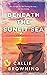 Beneath the Sunlit Sea