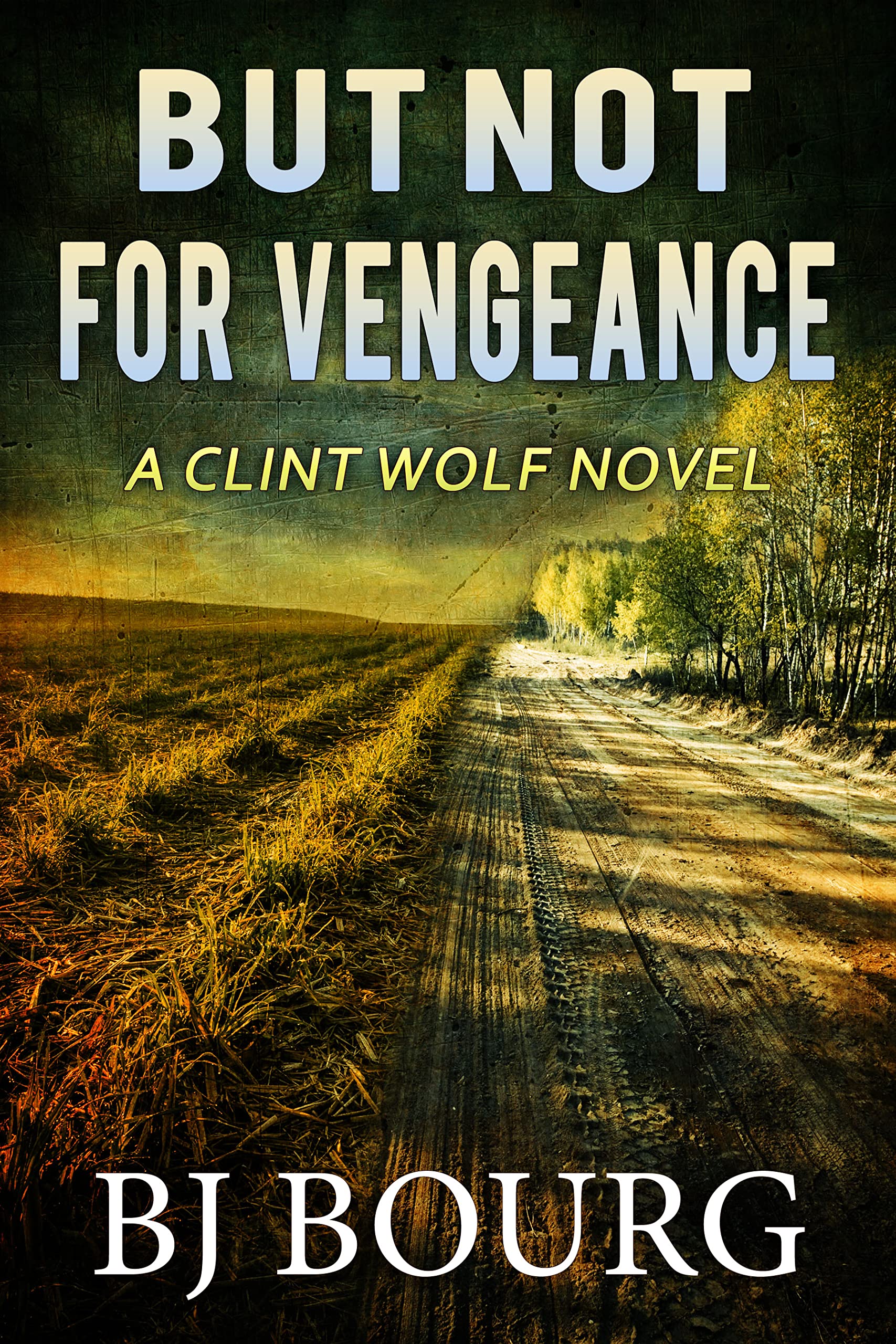 But Not For Vengeance (Clint Wolf #23)