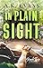 In Plain Sight (Road Trip Romance, #11)
