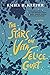 The Stars on Vita Felice Court by Emily H. Keefer