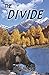 The Divide