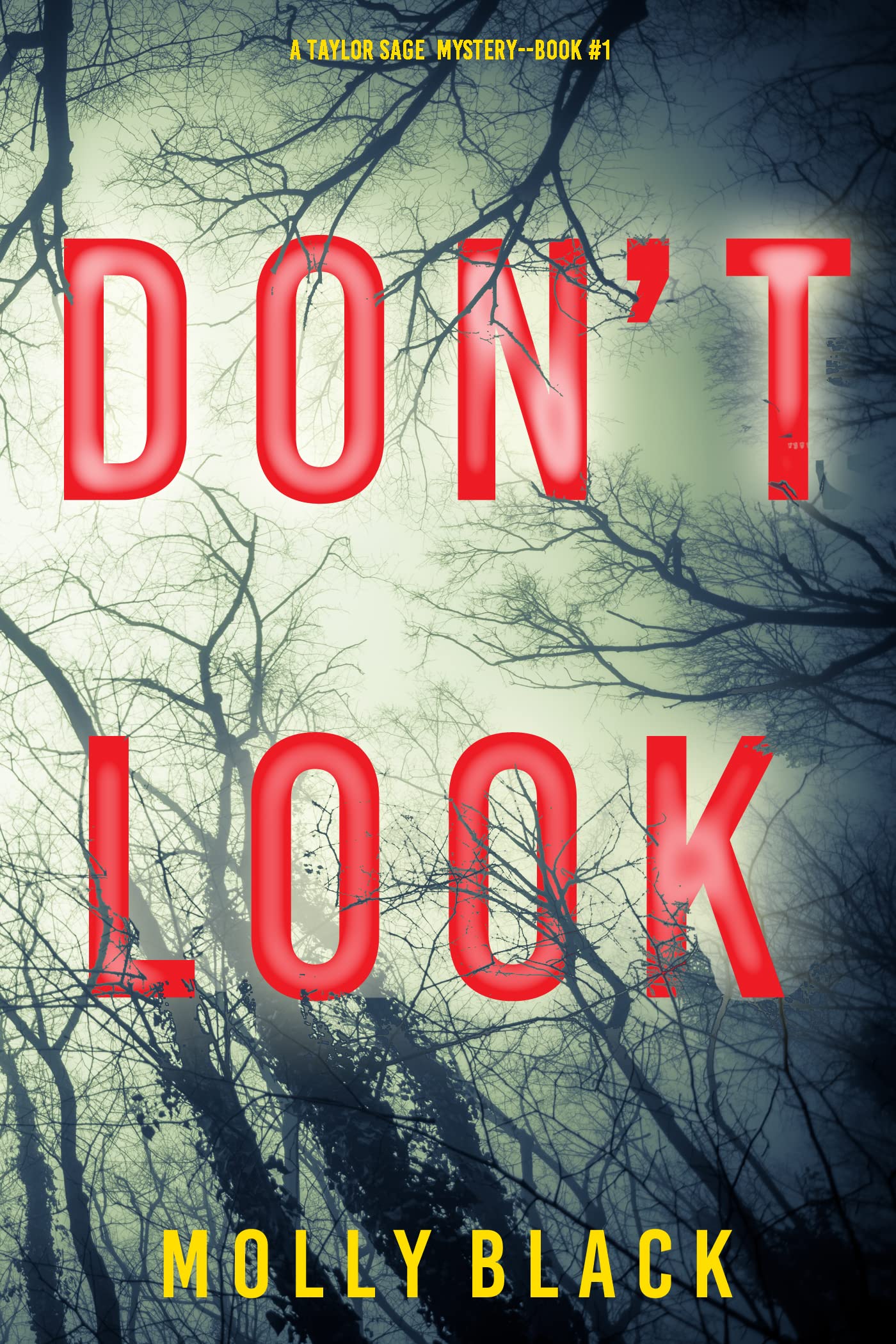 Don't Look (Taylor Sage #1)