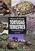 Manuales del terrario. Tortugas terrestres (Spanish Edition)