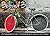 Beloved Bicycles Adult Colo...