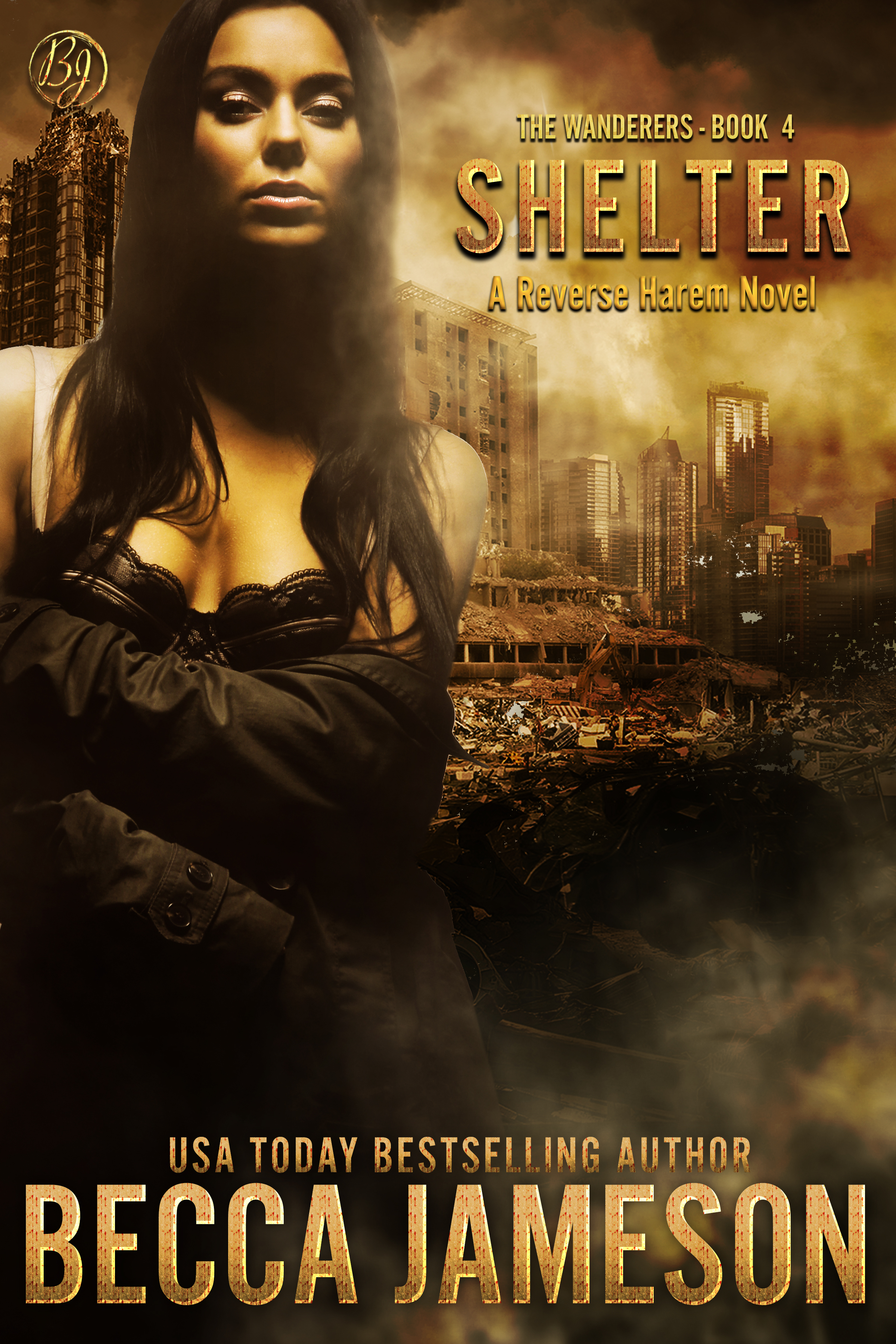 Shelter (The Wanderers #4)