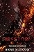 Firestorm (Sons of Templar MC Book)