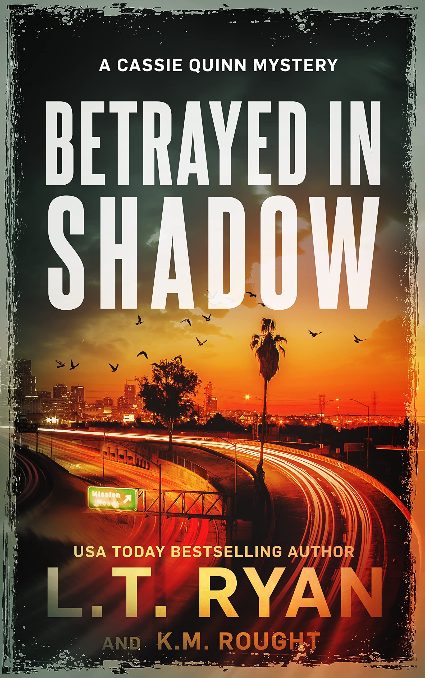 Betrayed in Shadow (Cassie Quinn #6)