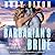 Barbarian's Bride (Ice Planet Barbarians, #19)