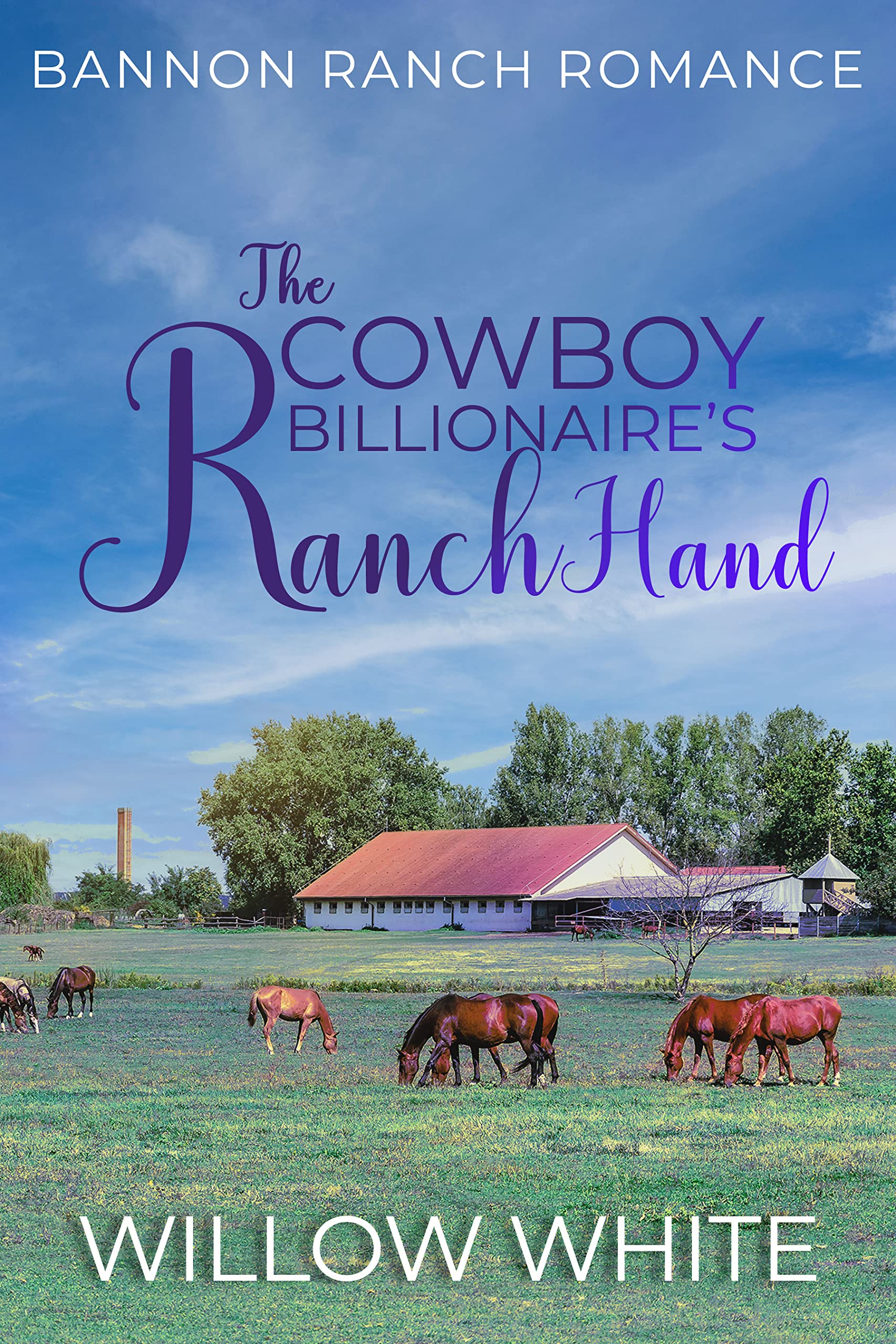 The Cowboy Billionaire's Ranch Hand (Bannon Ranch #3)