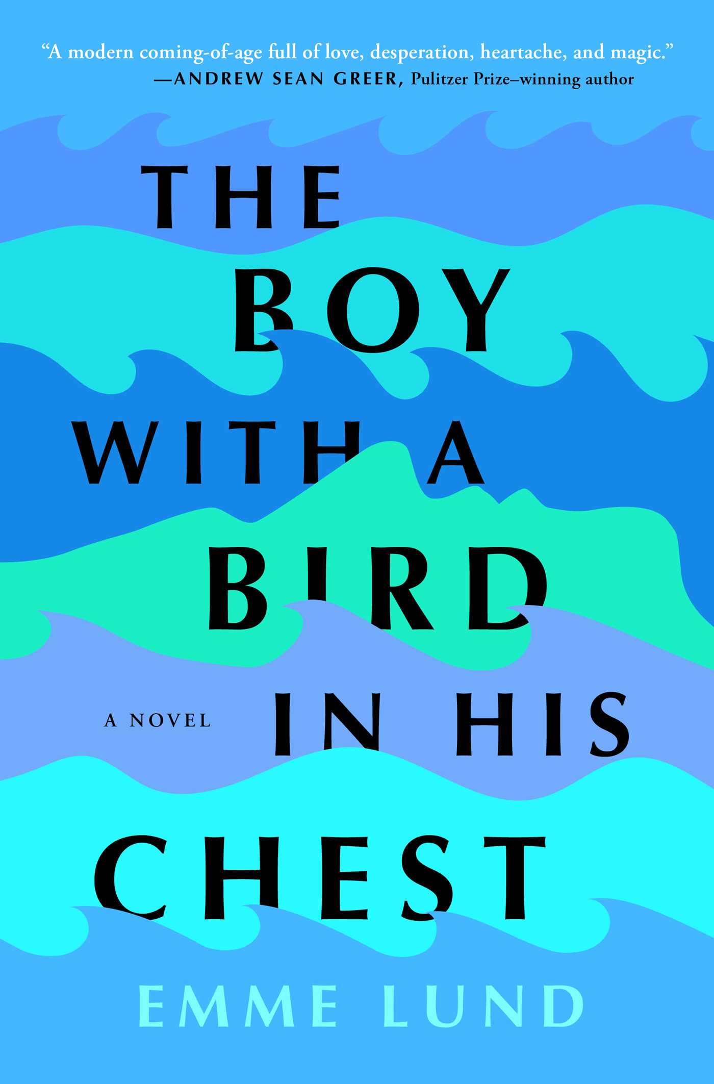 The Boy With a Bird in His Chest (Hardcover)