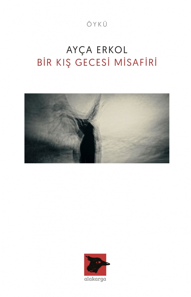 Bir Kış Gecesi Misafiri (Paperback)