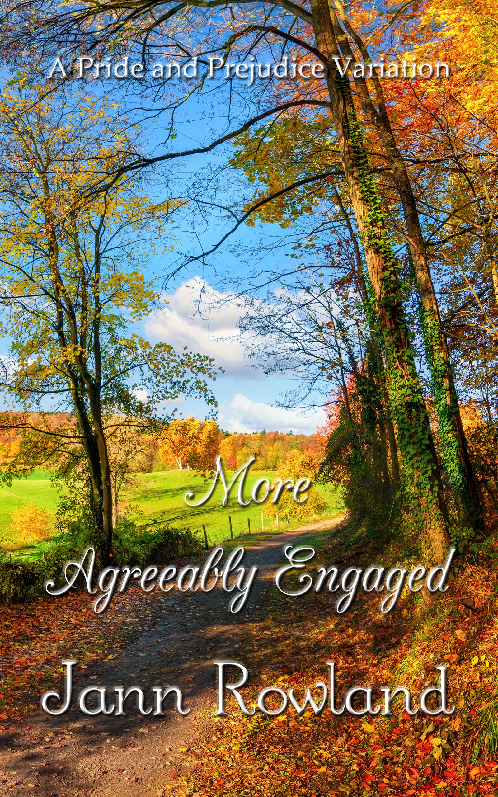 More Agreeably Engaged (Kindle Edition)