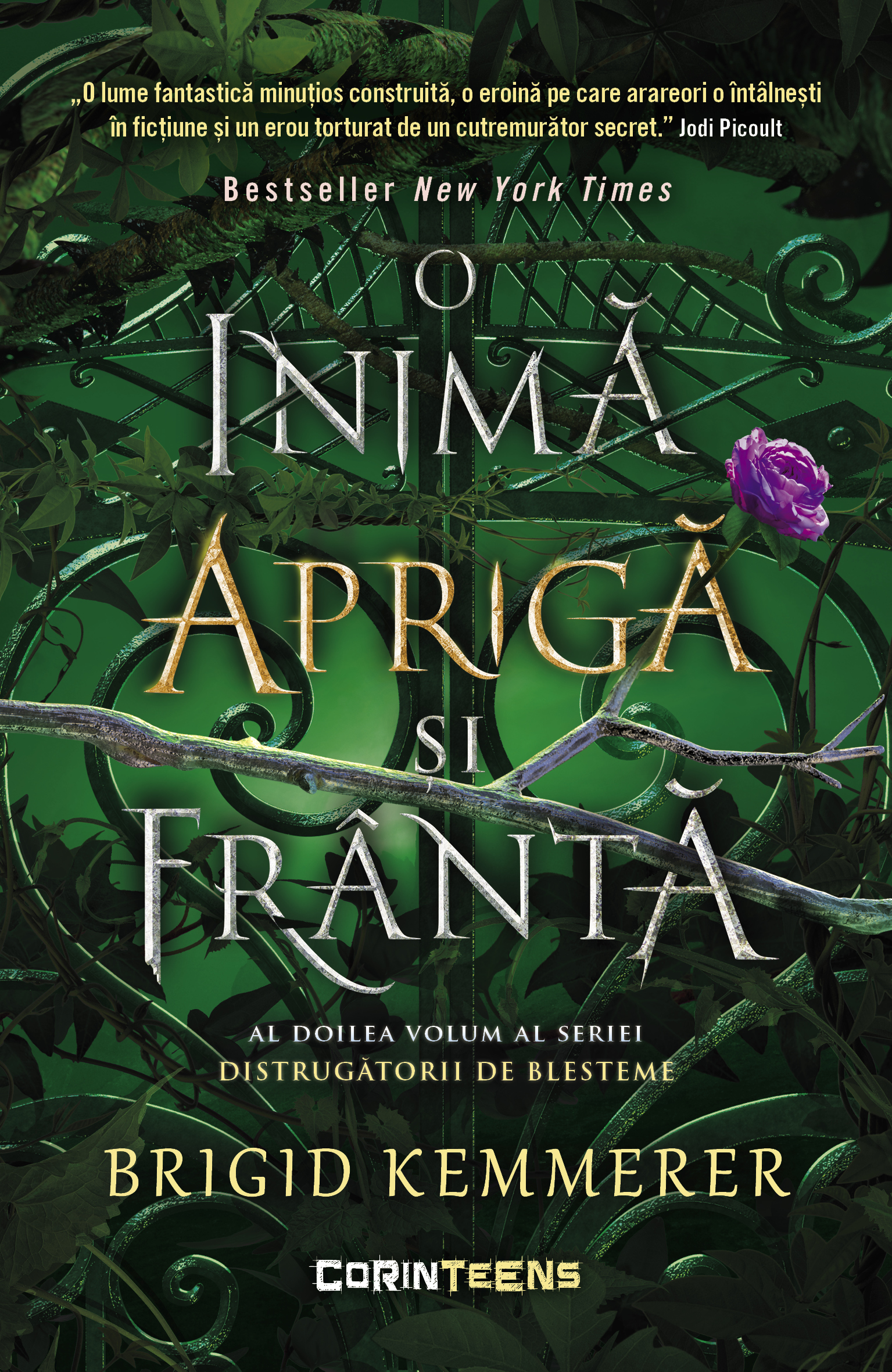 O inimă aprigă și frântă (Distrugătorii de blesteme, #2)