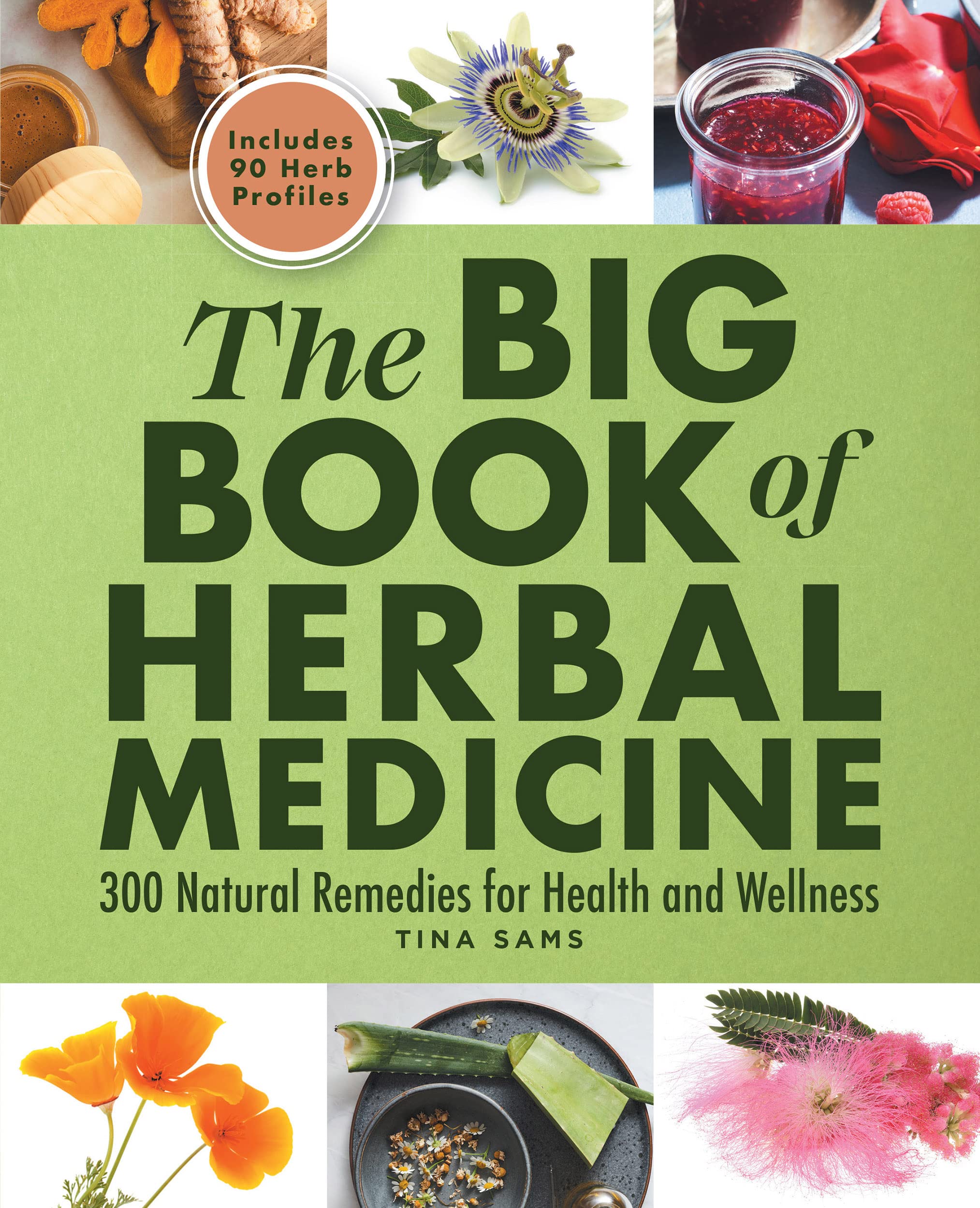 The Big Book of Herbal Medicine: 300 Natural Remedies for Health and Wellness (Kindle Edition)