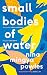 Small Bodies of Water